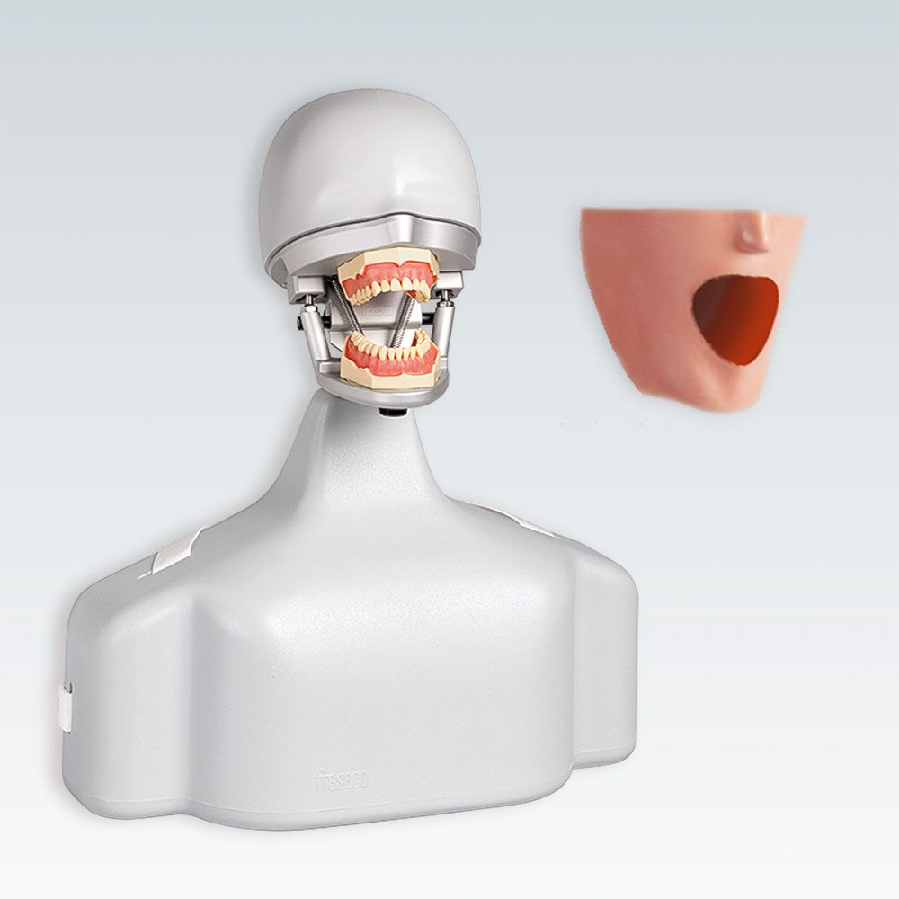 P-6/3 TSE Стоматологический симулятор в сборе на торсе с ремнями крепления на стоматологическом кресле