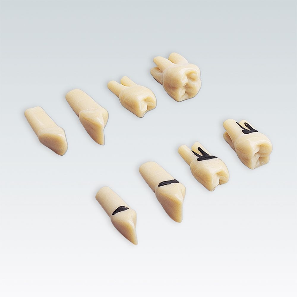 A-PB ZC Набор 26 зубов с зубным камнем для A-PB
