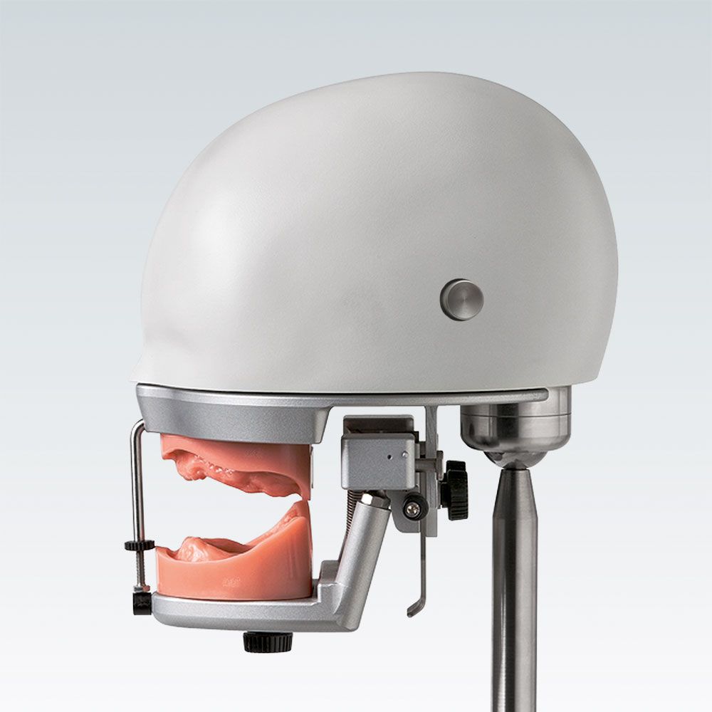 P-6/3 PRO Стоматологическая фантомная голова со специальным артикулятором для ортопедии