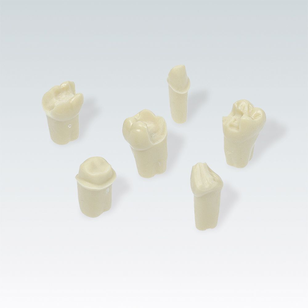 AG-3 ZP ..Заранее подготовленные зубы для AG-3 по спецификации или стандартным шаблонам