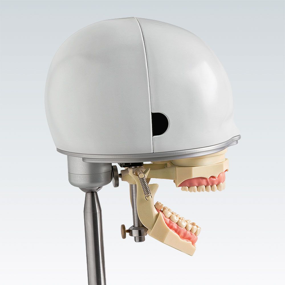 PK-1 P-BS Стоматологическая фантомная голова с артикулятором на защелках