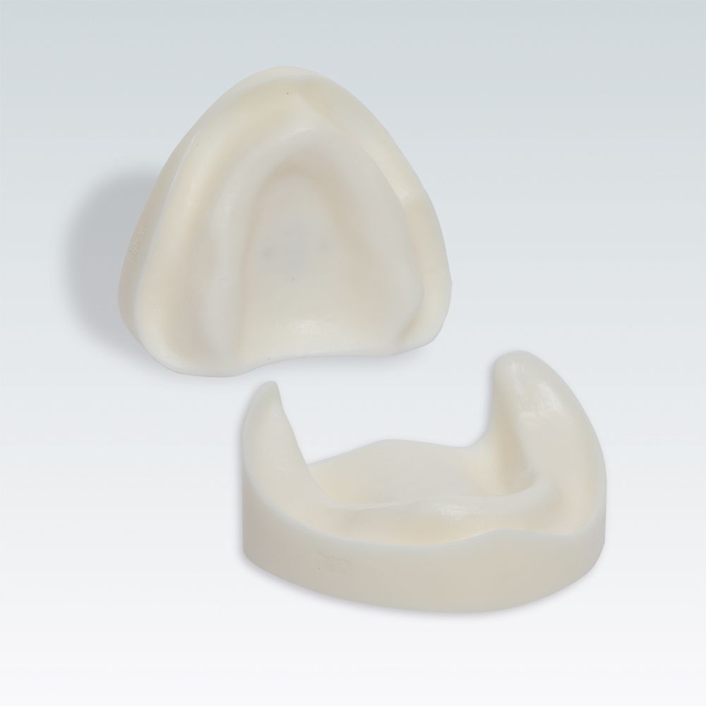 B-3 CSPJ Стоматологическая модель верхней и нижней беззубой челюсти без слизистой