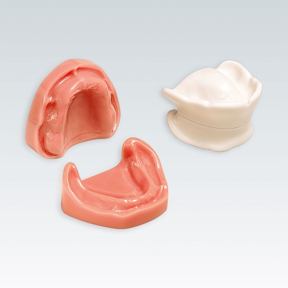 B-3 NH Стоматологическая модель верхней и нижней беззубой челюсти с нормальным прикусом без поднутрений