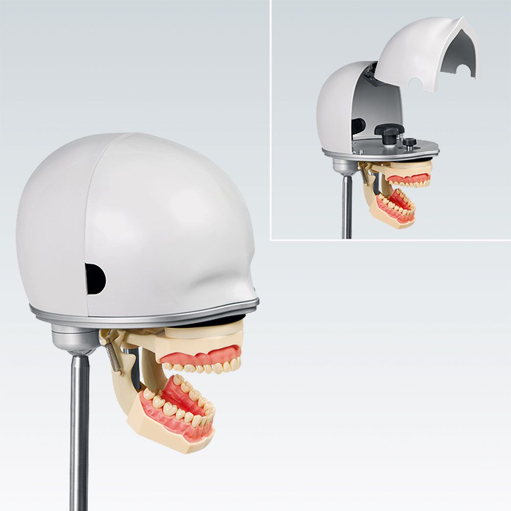 PK-1 Стоматологическая фантомная голова без артикулятора