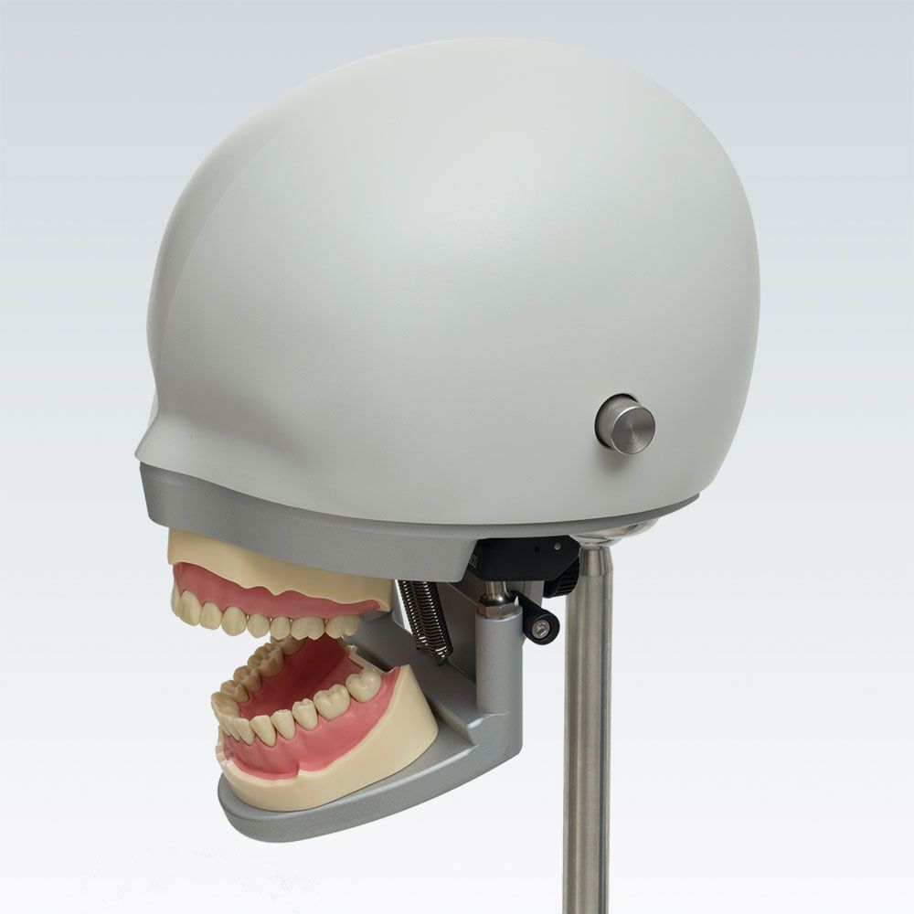 P-6/5 Стоматологическая фантомная голова с более сложным функционалом  и артикулятором P-3 