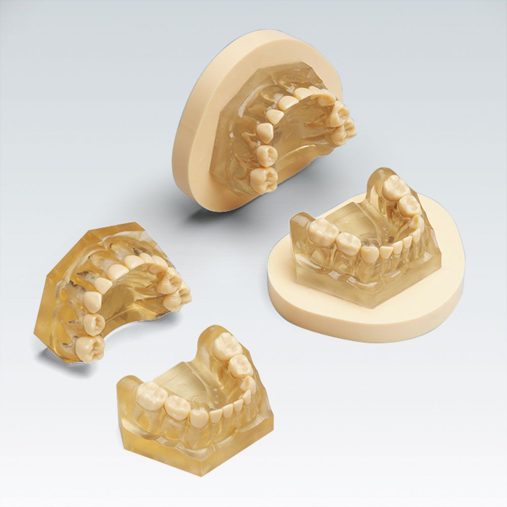 AM-5 E A Детская стоматологическая модель для экстракции молочных зубов с монтажной пластиной
