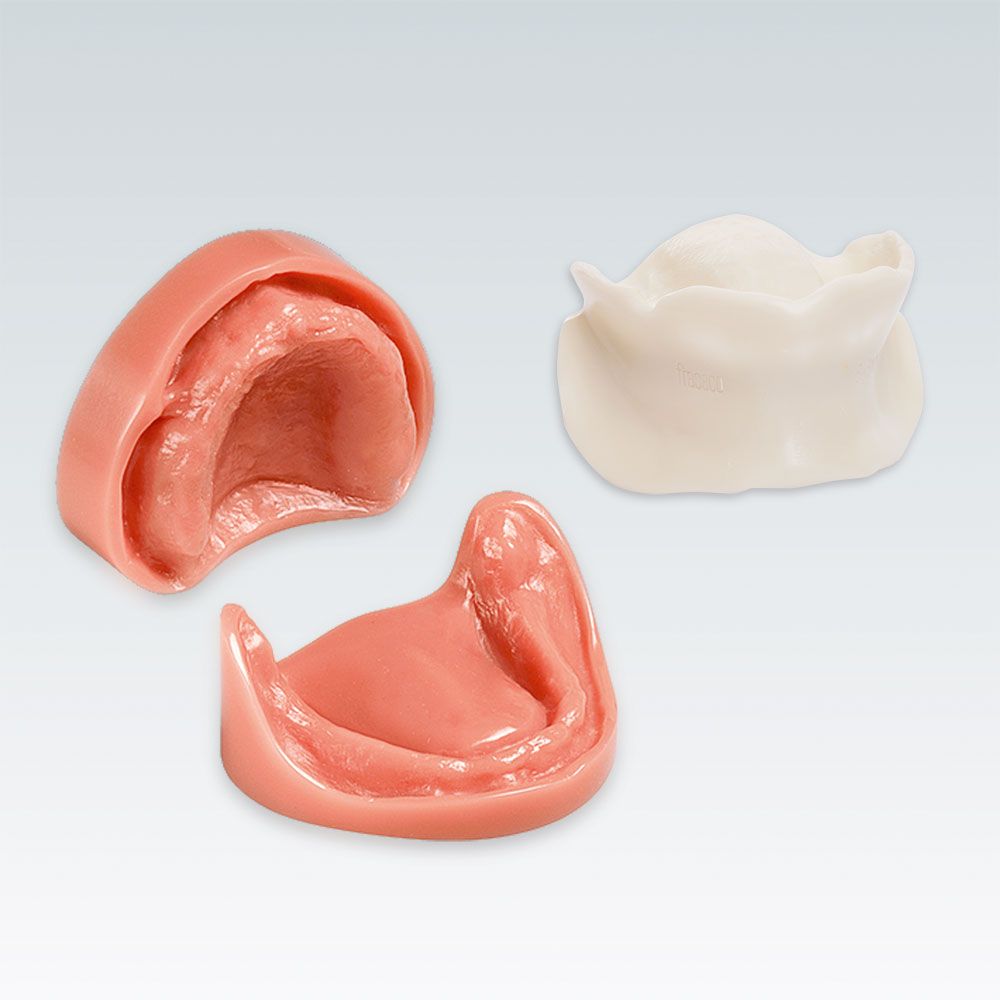 B-3 NM Стоматологическая модель верхней и нижней беззубой челюсти с нормальным прикусом с поднутрениями