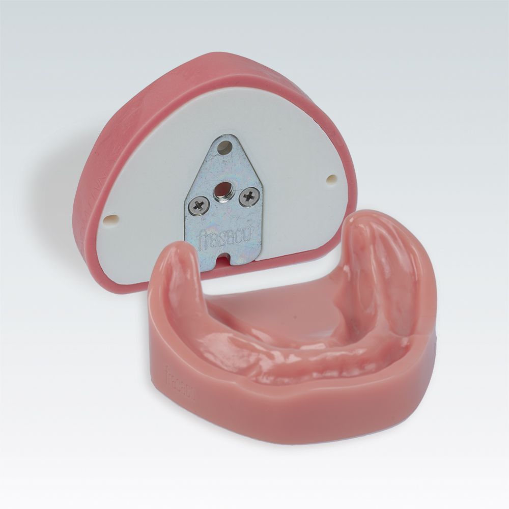 B-3 NMJW Стоматологическая модель верхней и нижней беззубой челюсти с нейтральным прикусом, с поднутрениями