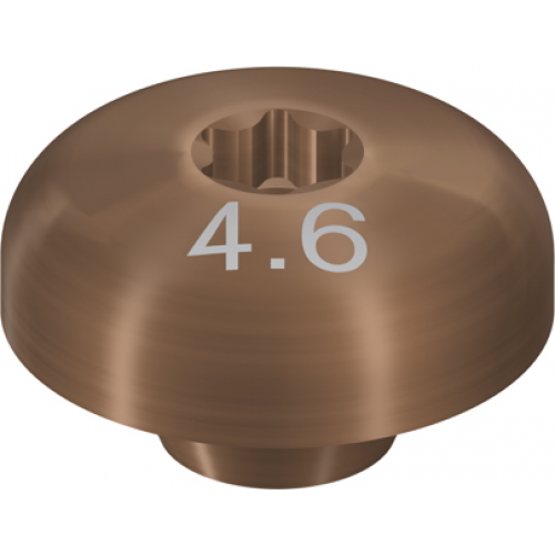  Вспомогательный компонент для полировки для абатментов для винтовой фиксации Ø4.6мм, TAN