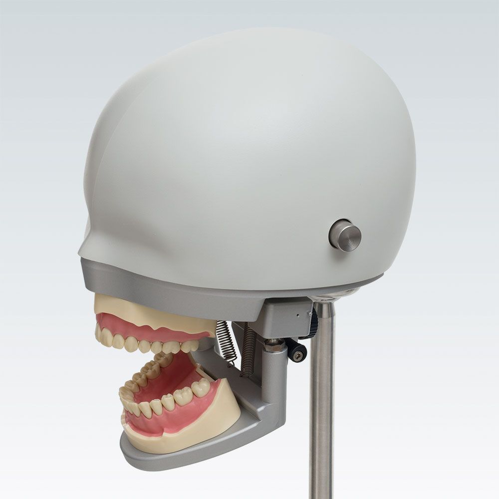 P-6/3 HGB Стоматологическая фантомная голова с артикулятором и с ограничителем в шейном шарнире для торсов