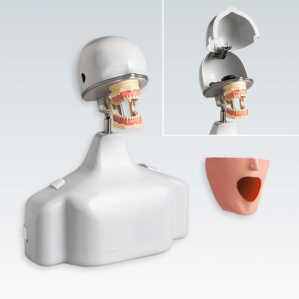 PK-1 TSE Стоматологический симулятор в сборе на торсе с ремнями крепления на стоматологическом кресле