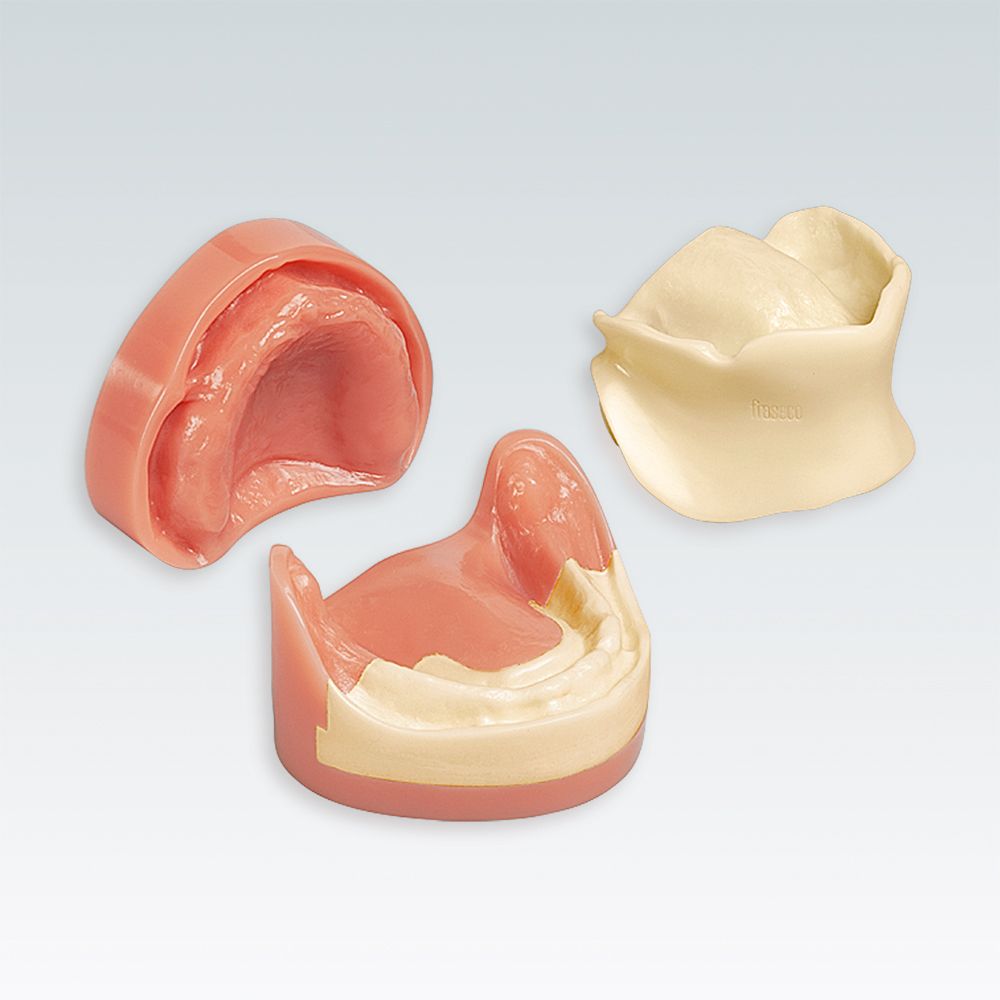 B-3 LMU Стоматологическая модель верхней и нижней беззубой челюсти с нормальным прикусом