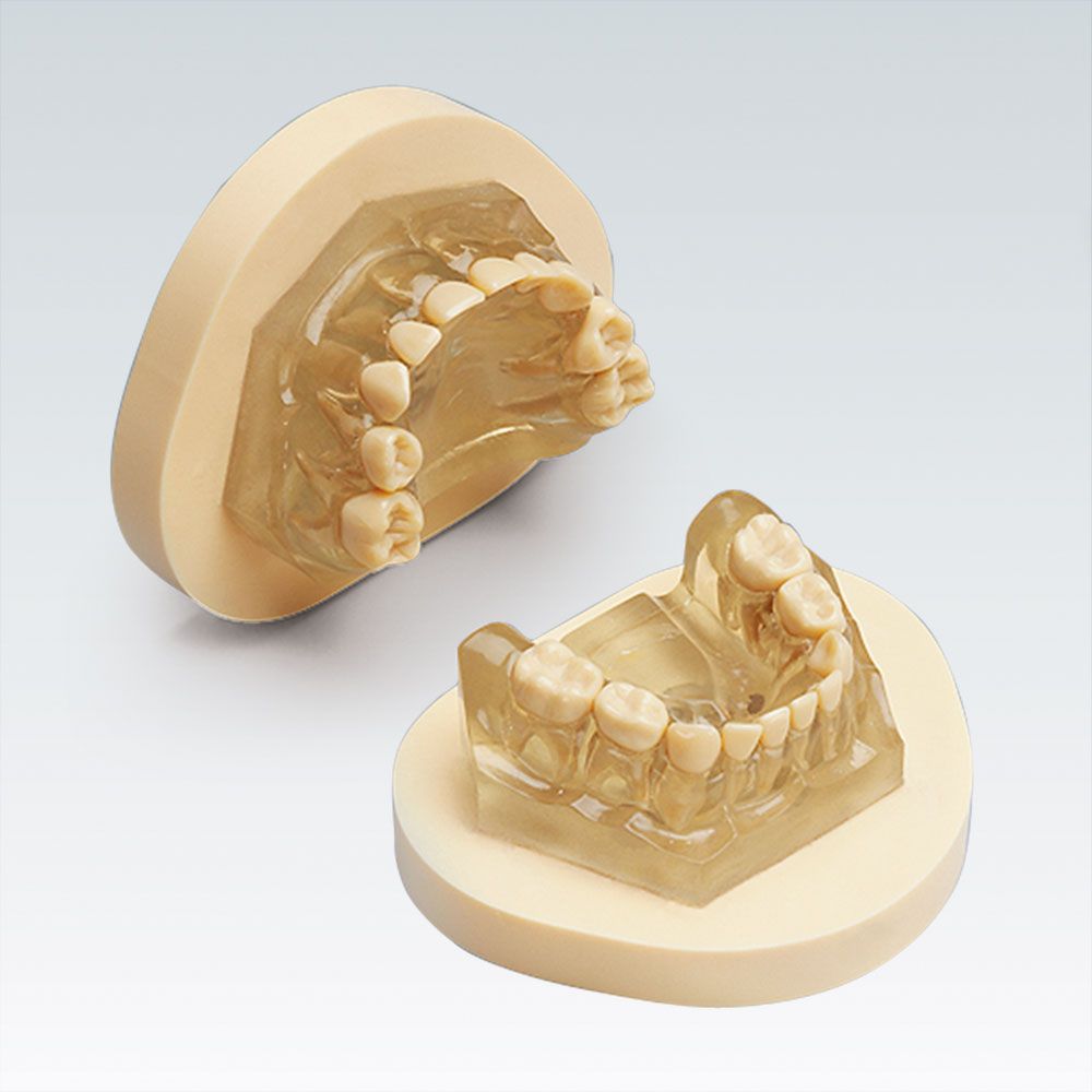 AM-5 99-001 Детская стоматологическая модель из эластичного прозрачного пластика с видимыми анатомическими корнями зубов с монтажной пластиной