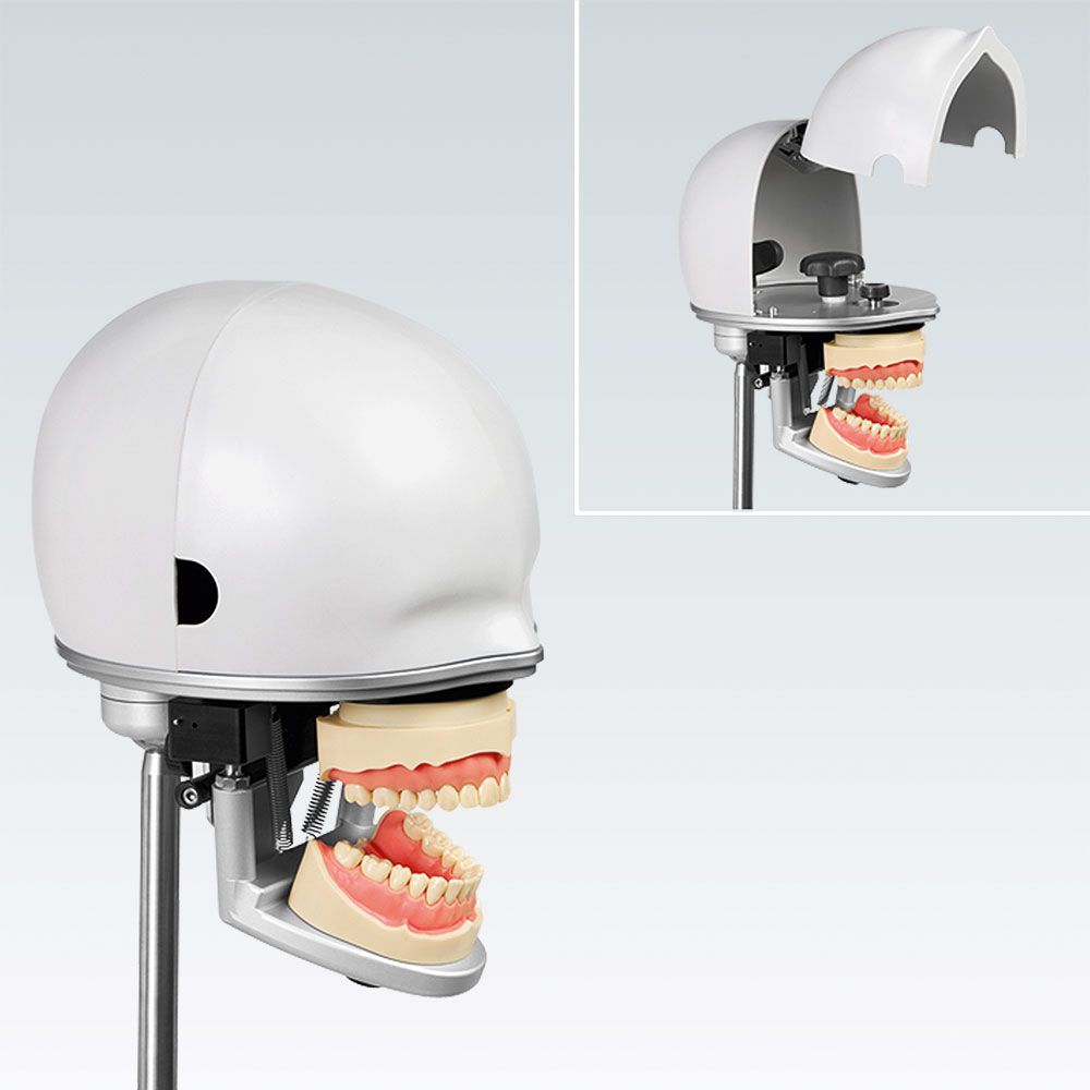 PK-2 HGB Стоматологическая фантомная голова с артикулятором P-2, с ограничителем в шейном шарнире для торсов